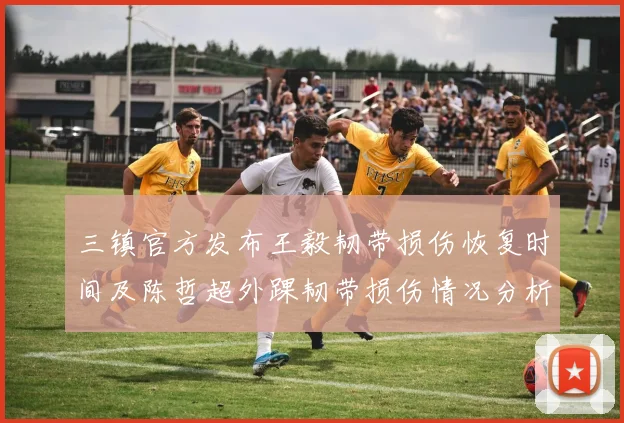 三镇官方发布王毅韧带损伤恢复时间及陈哲超外踝韧带损伤情况分析
